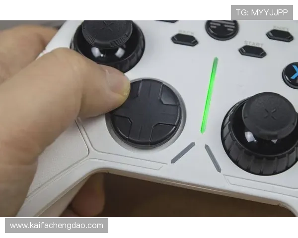 凯发国际首页注册流程详细指南新手快速注册畅享优质游戏体验